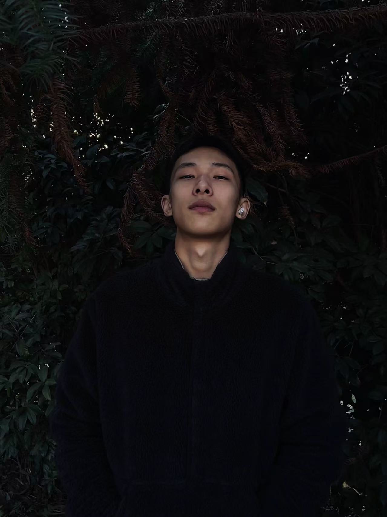 Barry 在树荫下的个人照片